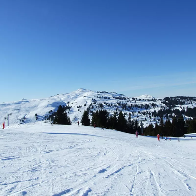 Location d'un appartement à Bisanne 1500 au pied des pistes - appartement 6-7 places - domaine skiable des Saisies